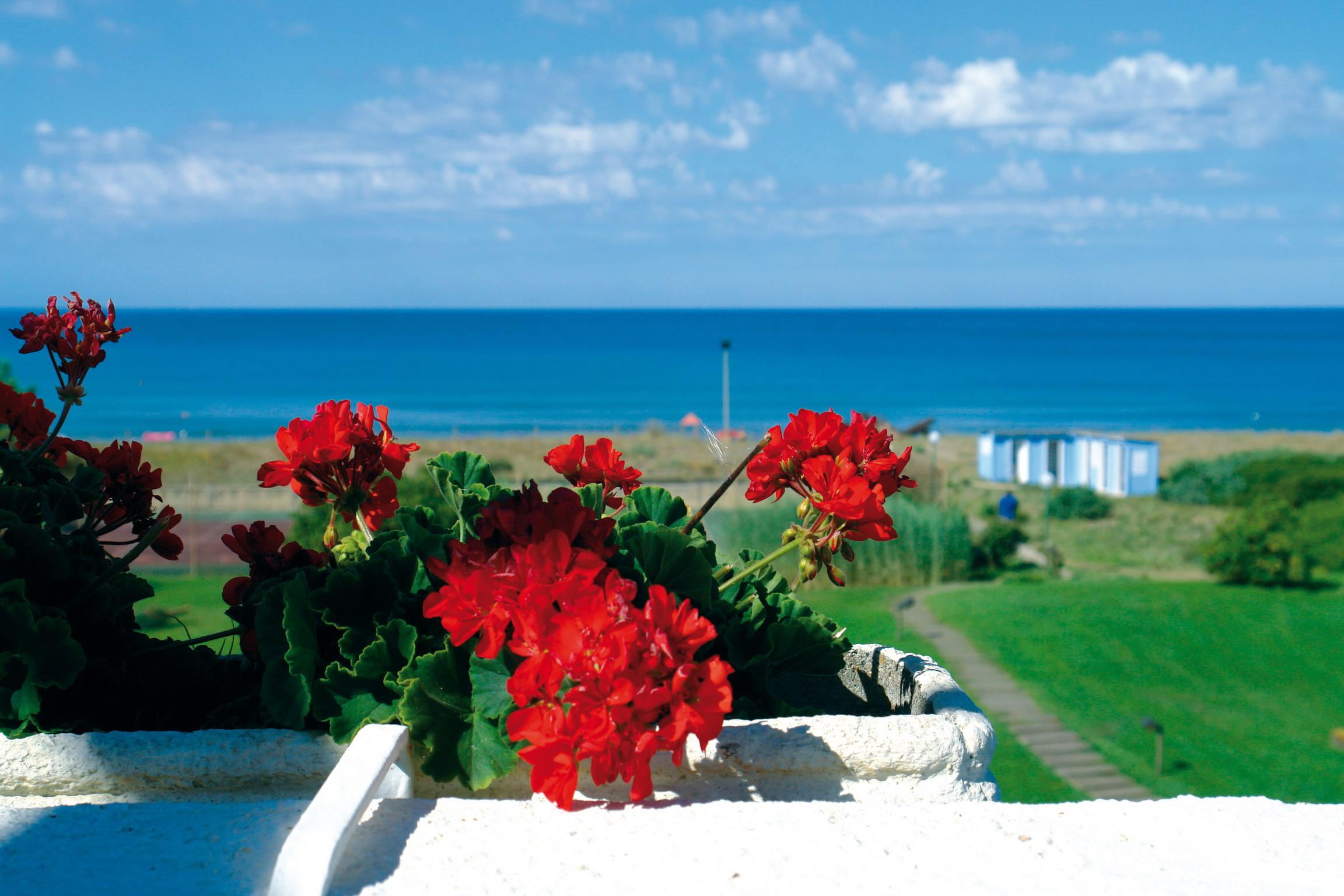 Hotel Della Baia Бая Домиция Екстериор снимка